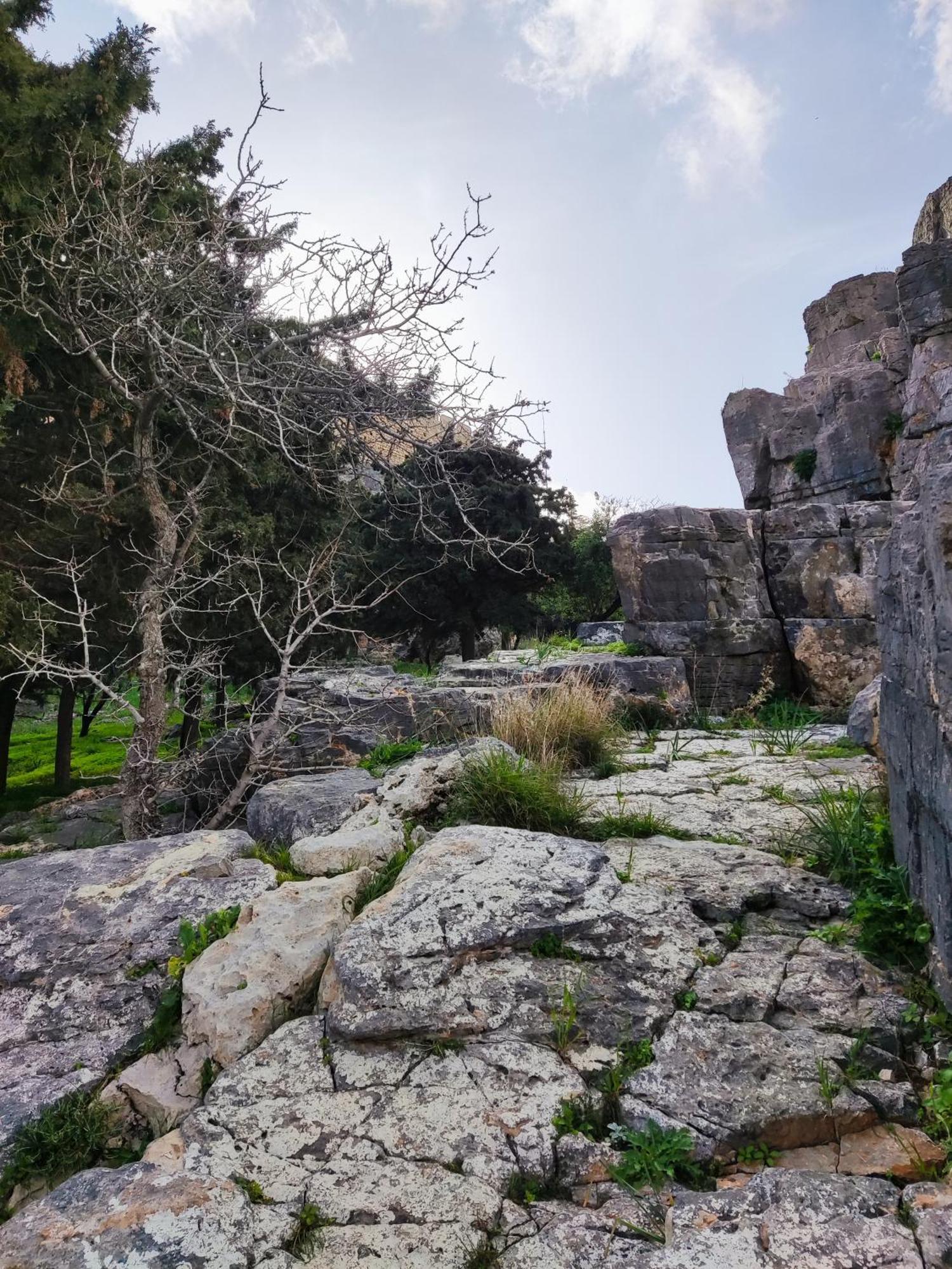 Lindos Esel Suites